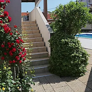 Villa Anda, Zadar